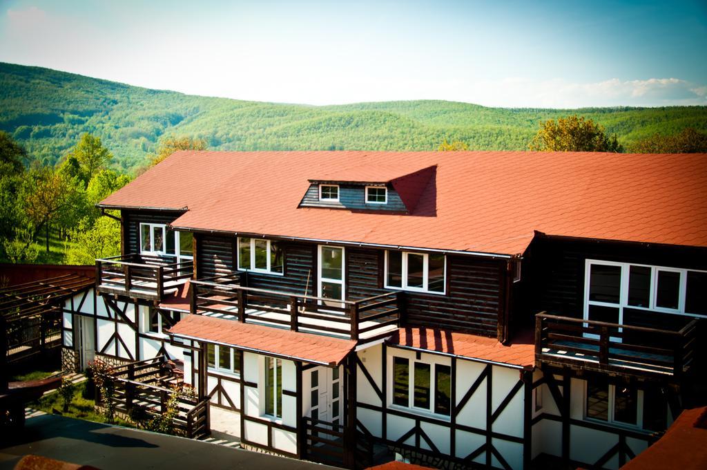 Pensiunea Sarmis Sarmizegetusa Exterior foto